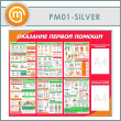          (PM-01-SILVER)