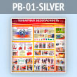    (PB-01-SILVER)